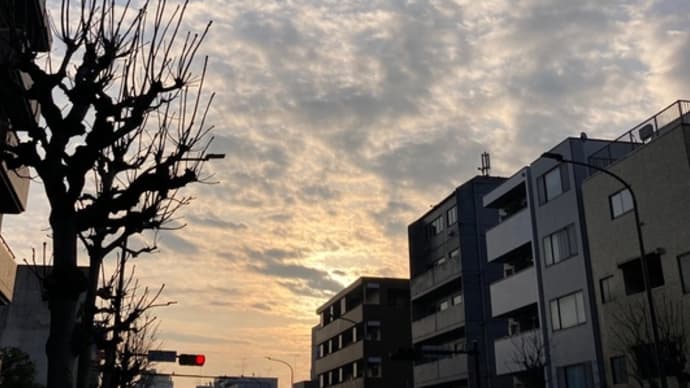 ミモザルート
