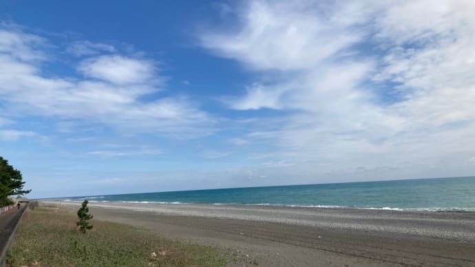 旅Vlog 和歌山ええとこよ✨