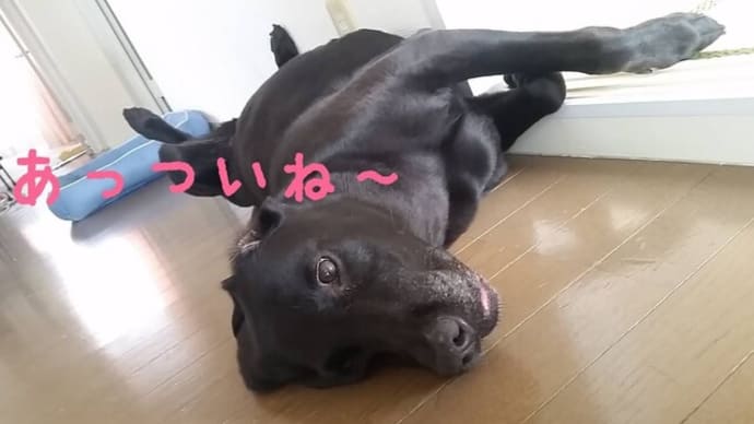 お盆前に・・・