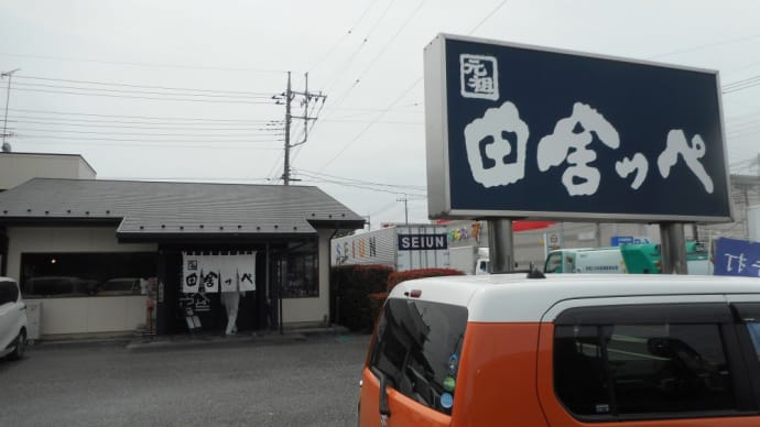 熊谷市 田舎っぺうどん 熊谷北店 塩ネギ肉汁うどん特大、肉トッピング