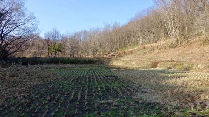 サシバの里自然学校