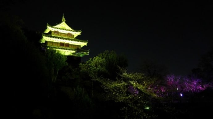 西尾城の夜桜ライトアップ