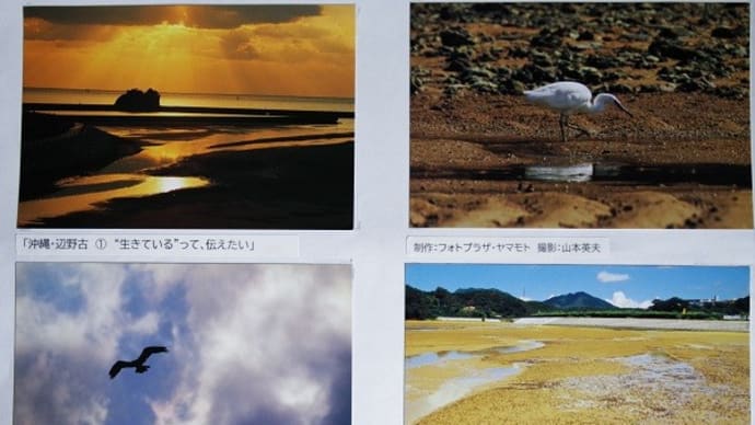 【拡散願います】絵はがき「辺野古」「与那国島」、ただいま絶賛・販売中ですーご注文お願い致します(20230316)