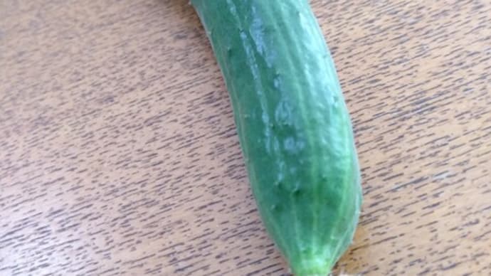 体の中の火を沈めよ