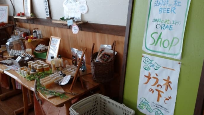 田沢湖へドライブの際は🚗