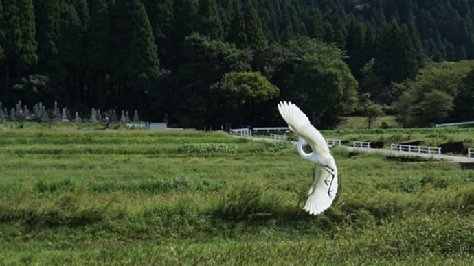 明日も暑い。クソ暑い。