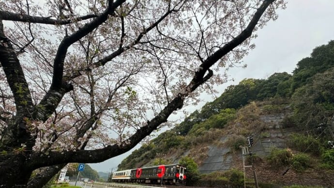 桜と肥薩おれんじ鉄道