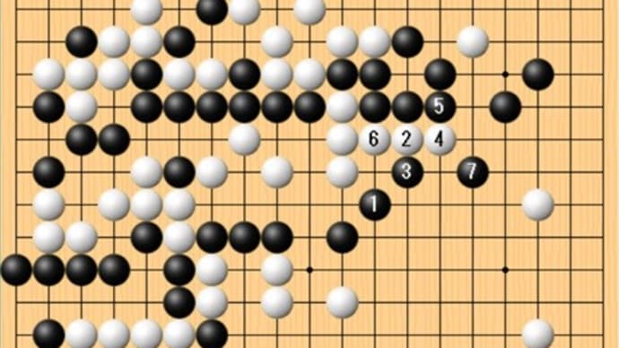  第48期棋聖戦第5局2日目。