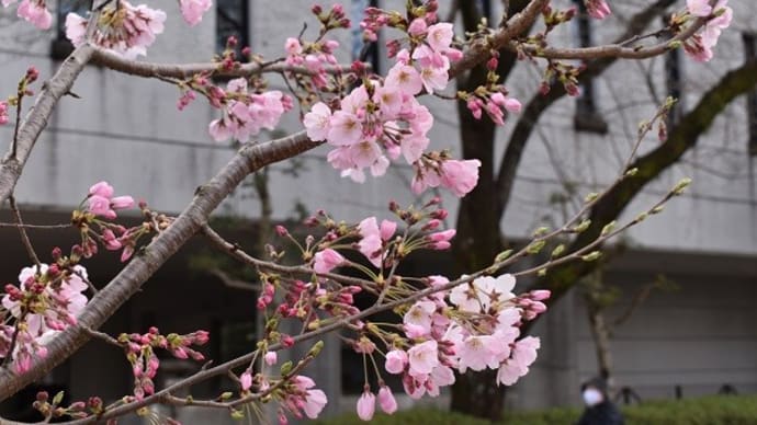 東御門リニューアル~駿府城公園~