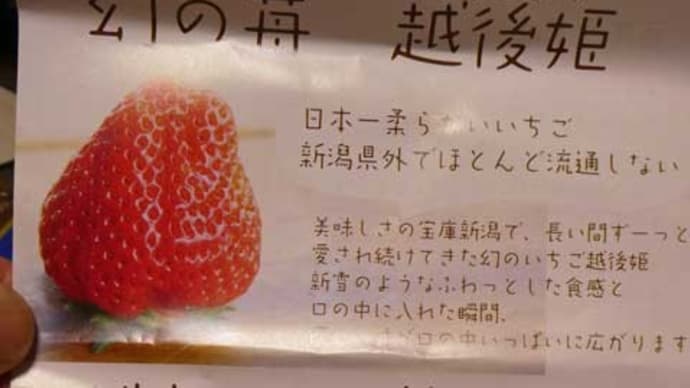 珍しい苺　これ、ニュースでみた！　門外不出のイチゴ姫☆彡