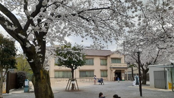 「トキワ荘」の桜/2022年