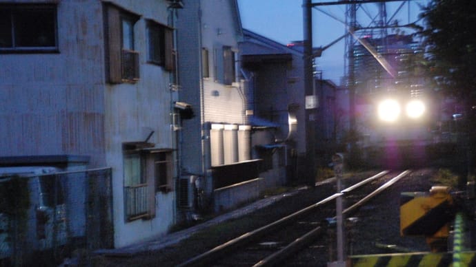 夕暮れ時、、カモレを撮る、、【二ヶ領踏切:尻手短絡線】 2020.12.4