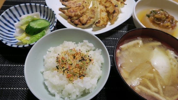 田舎定食、円盤餃子と大根味噌、炊屋食堂の質素倹約一汁三菜、簡単安く旨く・・・田舎の味。
