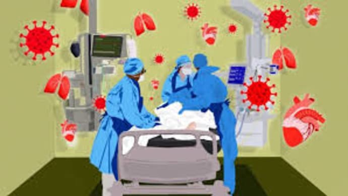 医療崩壊の虚実―疑問に答える(2)