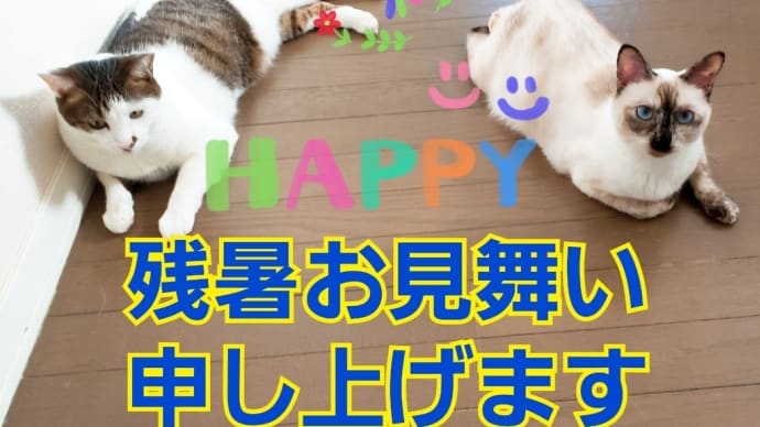 モルモット、チンチラ、文鳥のお世話