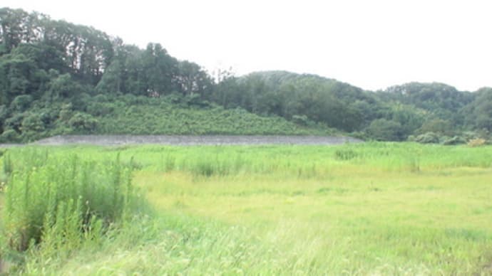 遠路はるばる１FLT