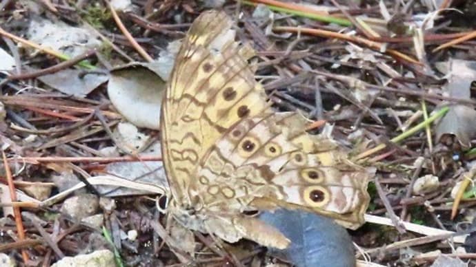濁池から大蓮公園