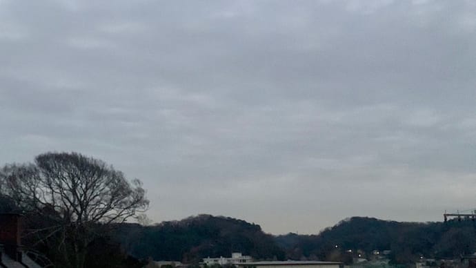 1年なんとかやりおえた
