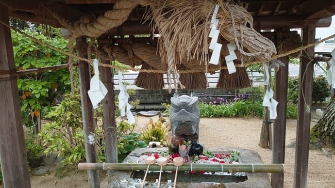 藤田神社の花手水～2024年5月12日