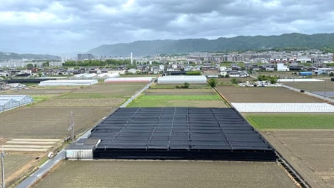 🚶♀️☂️…向島:清水町農地… 220426