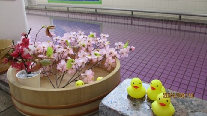 桜風呂です！（お風呂の設備もイベントも充実！）