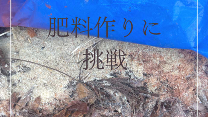 【肥料作り】米ぬかでカンタン♪ぼかし肥料
