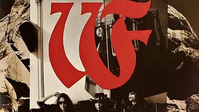 日曜は朝から90年代のジャパンロックで目を覚ます!Wild Flagから始まる日!