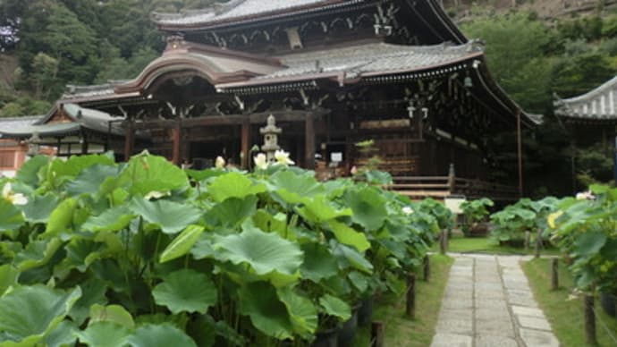 京都妖怪探訪（１９７）：三室戸寺（前編）