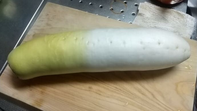 ダイコン「三太郎」収穫