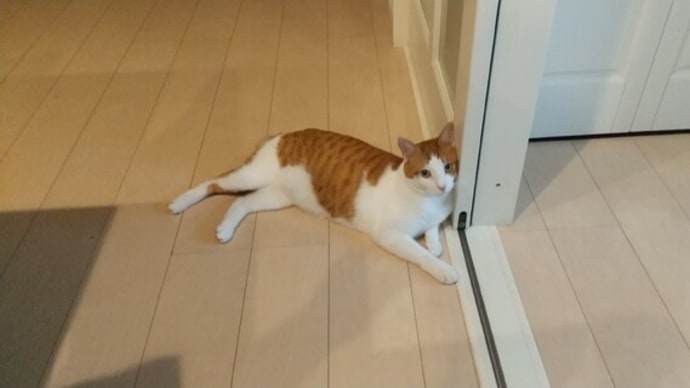 夏の兆しか、滅びの罠か。