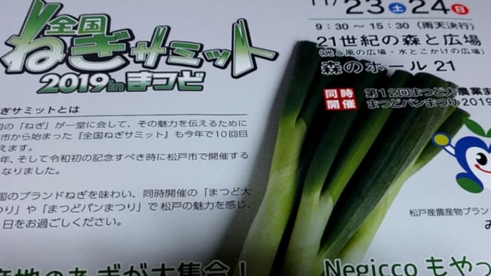 ネギの無料試食会 🤗