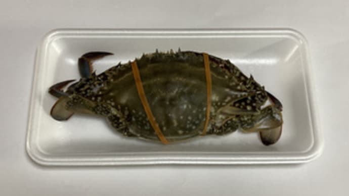 ワタリガニの下処理