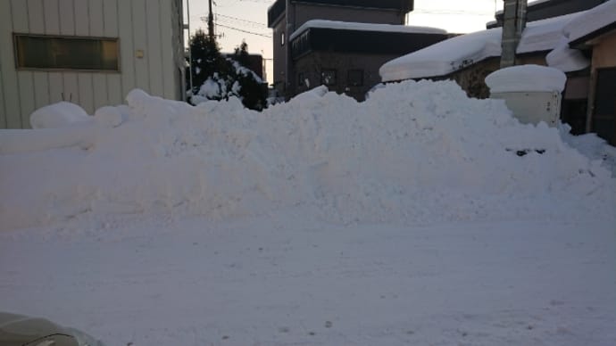雪かきない朝、札幌