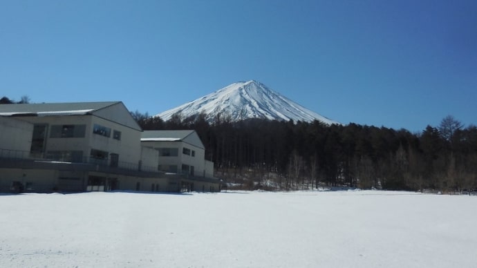 雪原で遊んじゃった!