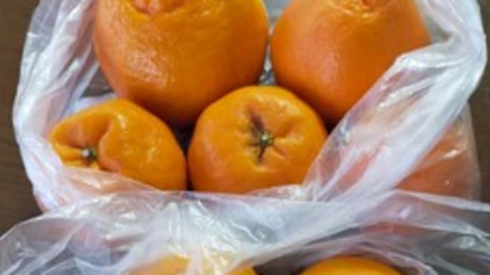 ビタミンC補給と不用品処分しなくては…