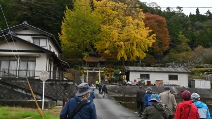 秋の写真教室