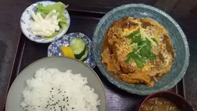 鳥常分店 17(足利市雪輪町)