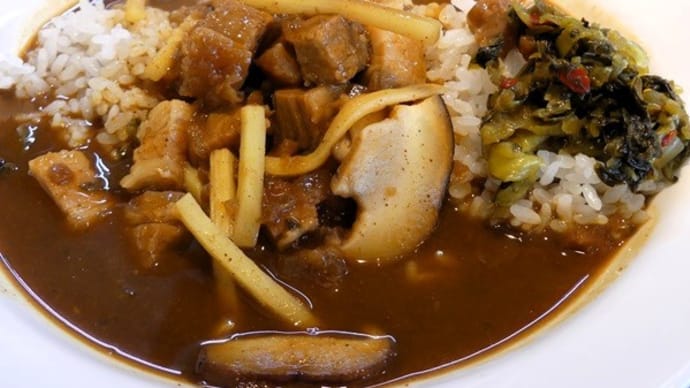#8947 🍛CoCo壱の魯肉スパイスカレーとか😀