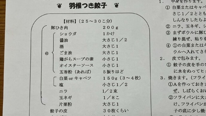 オムDE食いジーヌ・・・あっと驚く羽根つき餃子♪