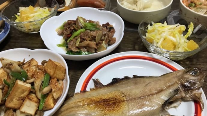 春の畑は、ええなぁ~♪