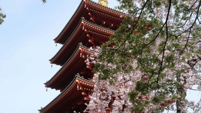 🌸 高幡不動からの~ 🌸