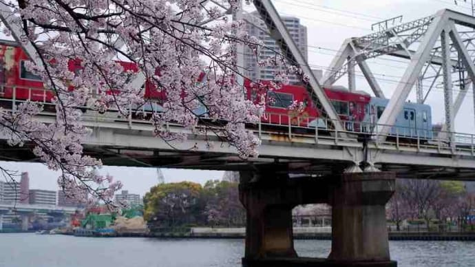 桜と真田丸ラッピング列車