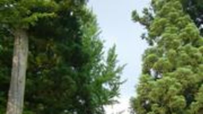 白山ロード^^越前市-1