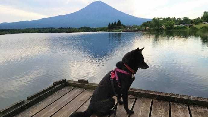田貫湖 逆さ富士