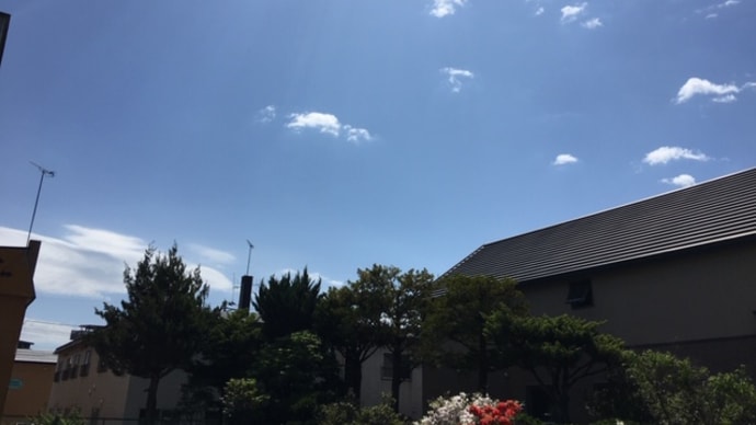 今日も暑くなるよ!