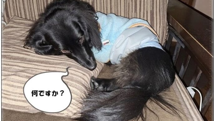 そっくり