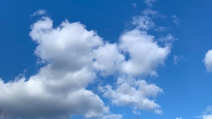 液体窒素が入りました