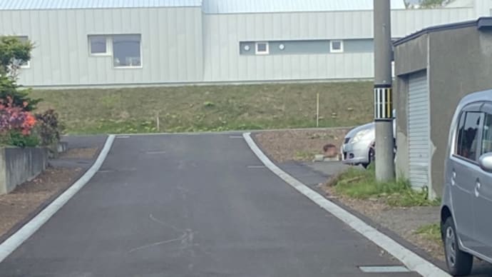 すがすがしい朝