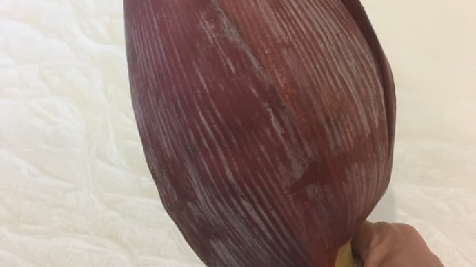 バナナの花を食べてみました!