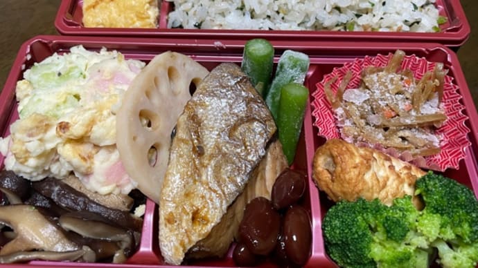 人間ドッグ